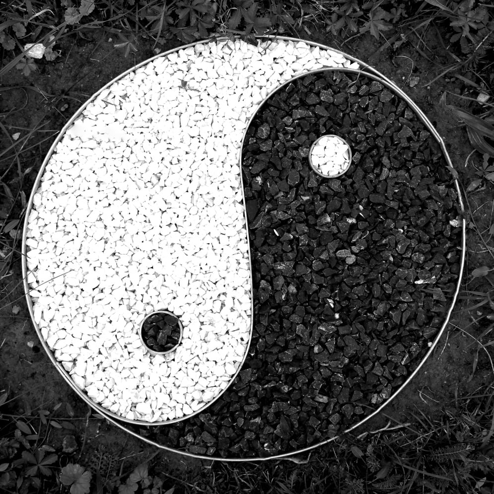 TAO symbol circular good and evil